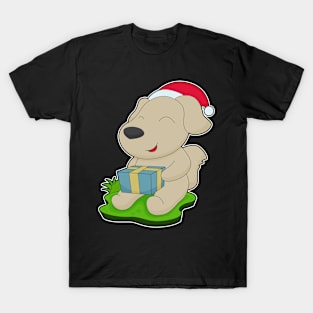 Dog Christmas Package T-Shirt